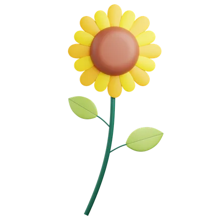 Sun Flower  3D Icon