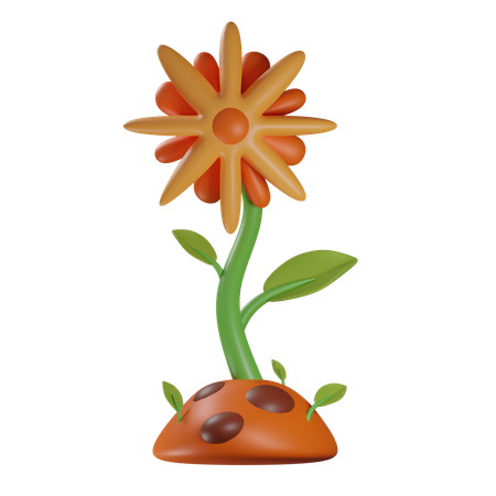 Sun Flower  3D Icon