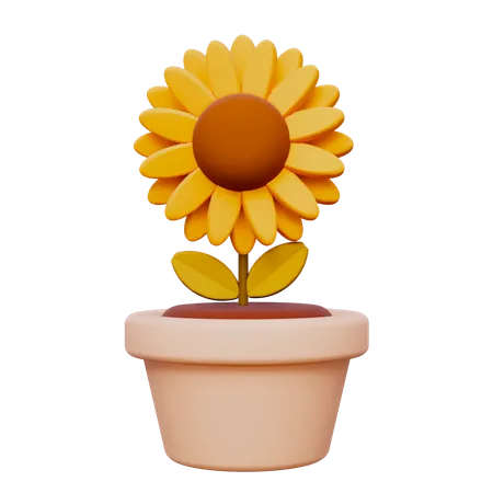 Sun Flower  3D Icon