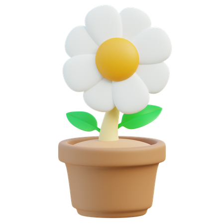 Sunflower  3D Icon