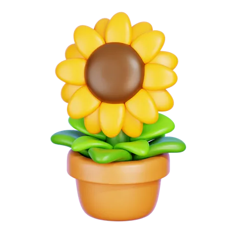 Sunflower  3D Icon