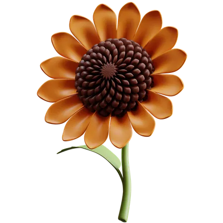 Sunflower  3D Icon