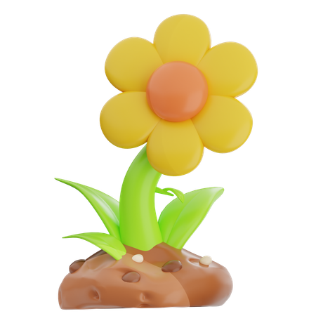 Sunflower  3D Icon