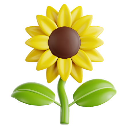 Sunflower  3D Icon