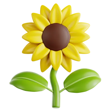 Sunflower  3D Icon