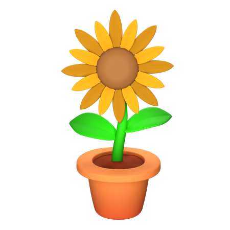 Sunflower  3D Icon