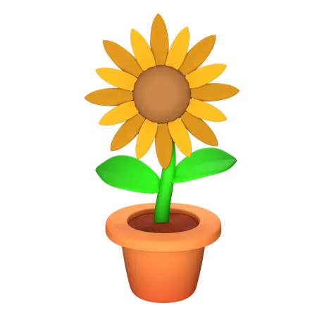 Sunflower  3D Icon