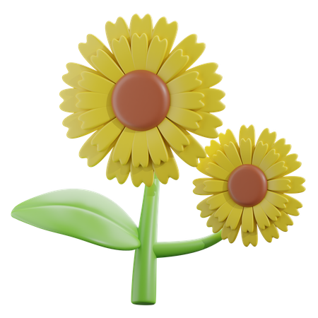 Sunflower  3D Icon