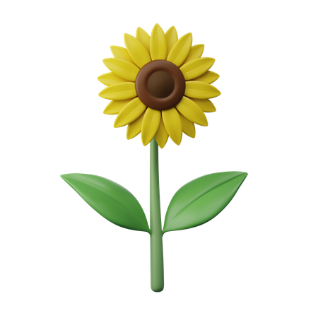 Sunflower  3D Icon