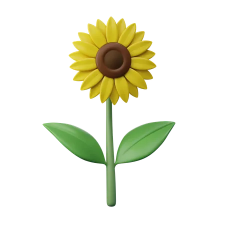 Sunflower  3D Icon