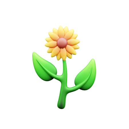 Sunflower  3D Icon