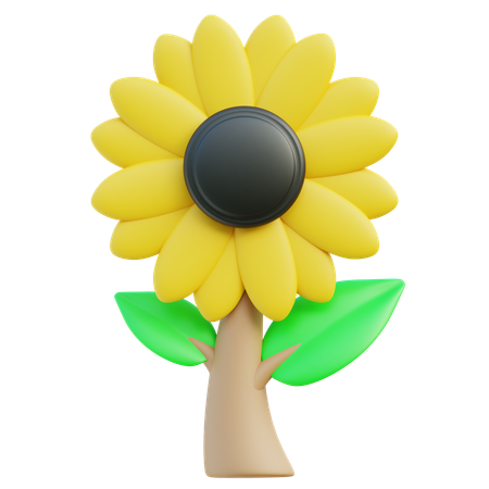 Sunflower  3D Icon