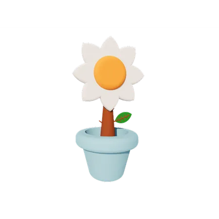 Sunflower  3D Icon