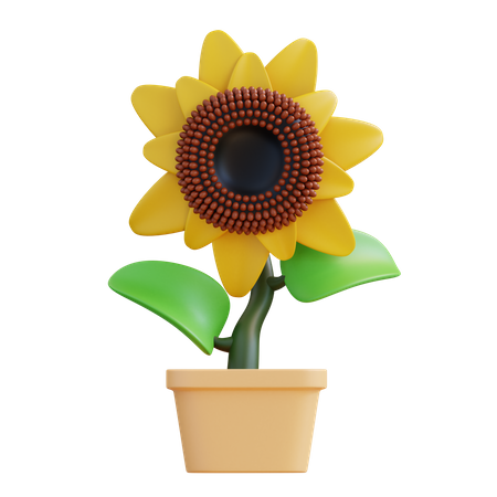 Sunflower  3D Icon