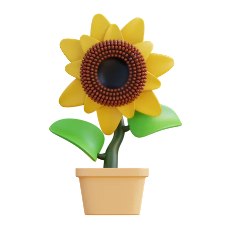 Sunflower  3D Icon