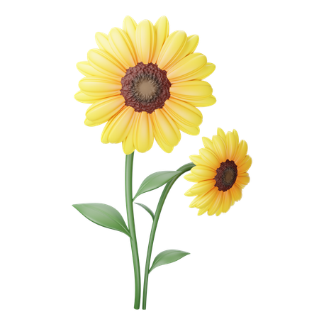 Sunflower  3D Icon