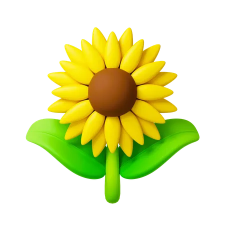 Sunflower  3D Icon