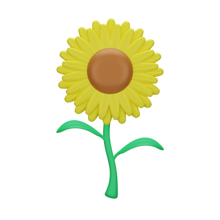 Sunflower  3D Icon