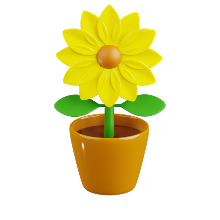 Sunflower  3D Icon