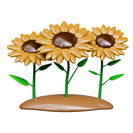 Sunflower Garden  3D Icon