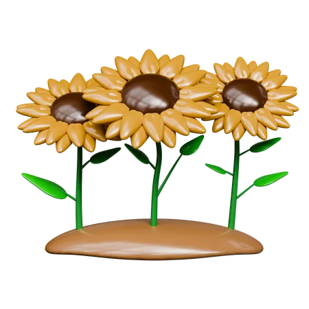 Sunflower Garden  3D Icon