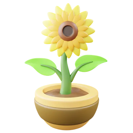 Sunflower Pot  3D Icon