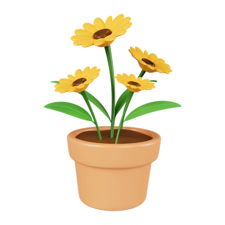 Sunflower Pot  3D Icon