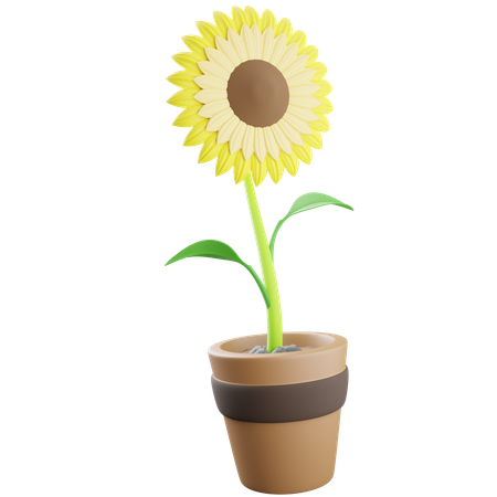 Sunflower Pot  3D Icon