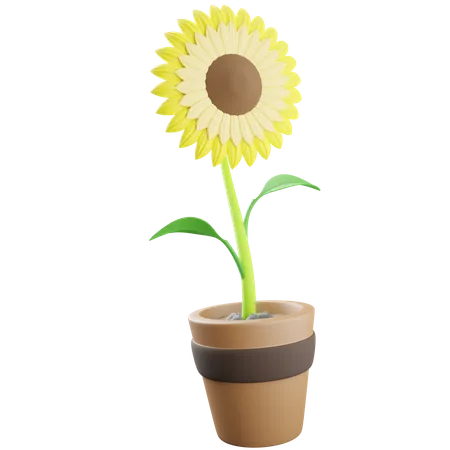 Sunflower Pot  3D Icon