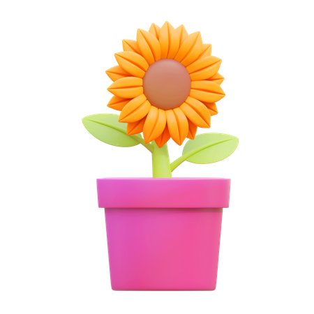 Sunflower Pot  3D Icon