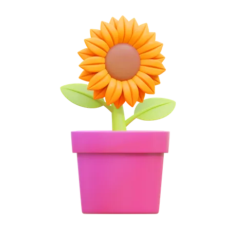 Sunflower Pot  3D Icon