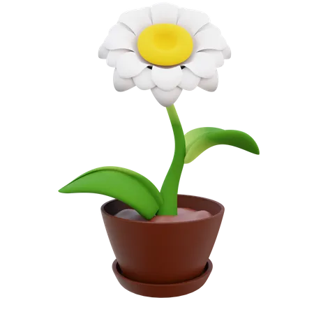 Sunflower Pot  3D Icon