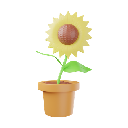 Sunflower Pot  3D Illustration