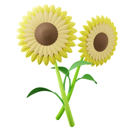 Sunflower Tree  3D Icon