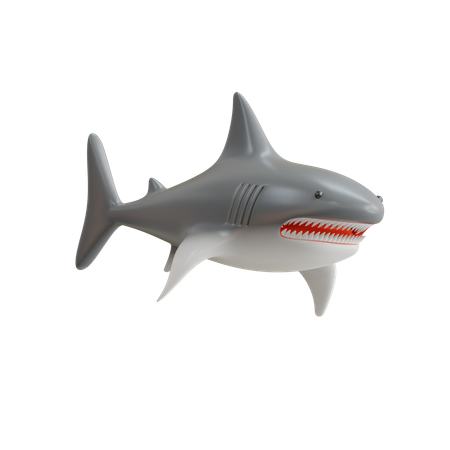 Tiburón  3D Icon