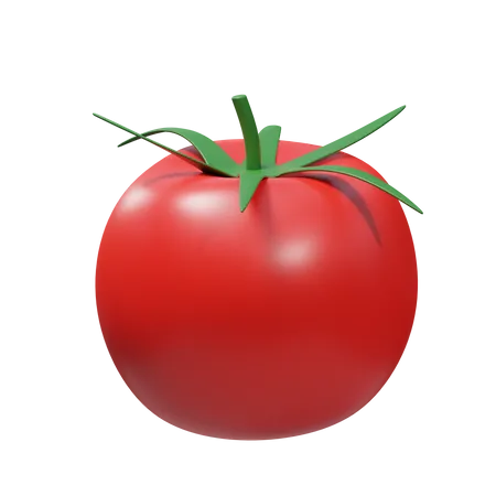 Tomate  3D Illustration