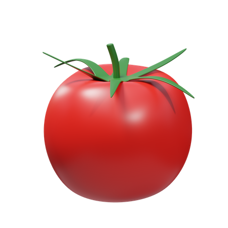 Tomato  3D Illustration