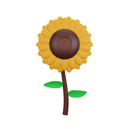 Tournesol  3D Icon