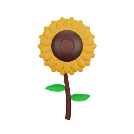 Tournesol  3D Icon