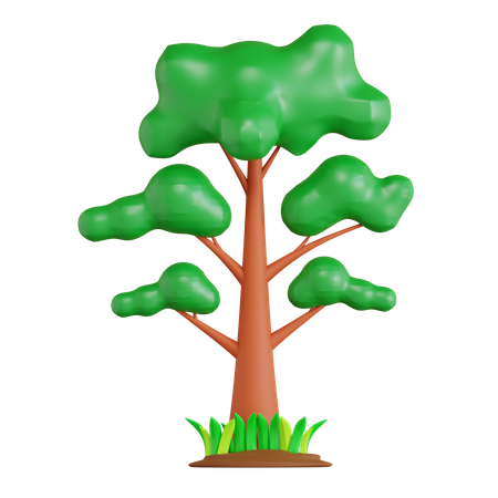 Tree  3D Icon