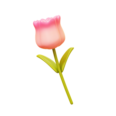 Tulip Flower  3D Icon