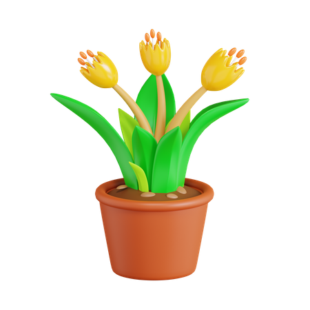 Tulip Flower  3D Icon