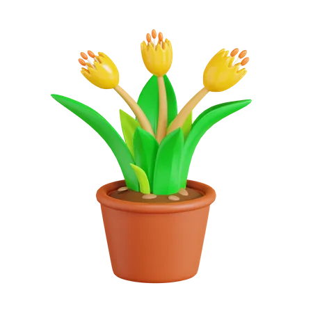 Tulip Flower  3D Icon