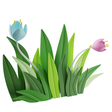 Tulip Flower  3D Icon