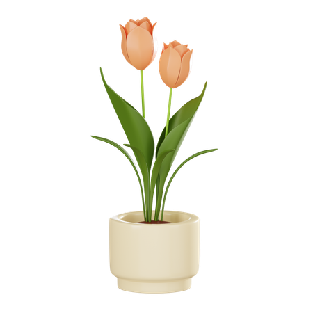 Tulip Plant Pot  3D Icon