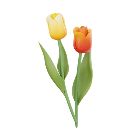 Tulipas  3D Icon