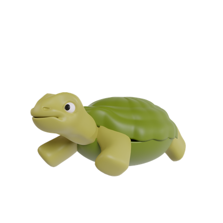 Turtle  3D Icon