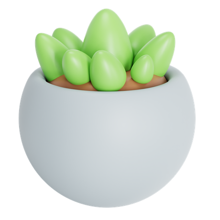 Vase  3D Icon