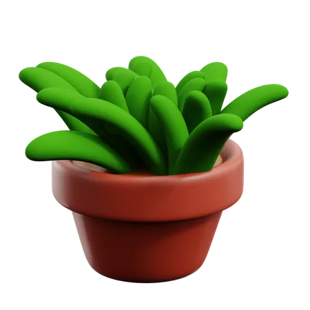 Vaso de planta  3D Icon