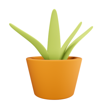 Vaso de planta  3D Illustration